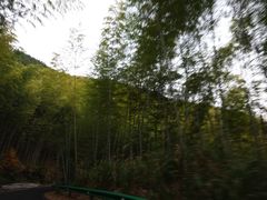 -塔川景区