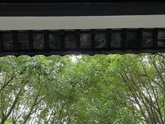 -上海佘山国家森林公园天马山园