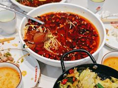 -蜀阳餐厅·金牌水煮鱼