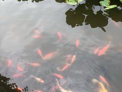 -龙头寺公园