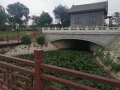 -绿堤公园
