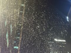-福田卓悦INTOWN购物中心