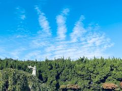 -上海市龙华烈士陵园