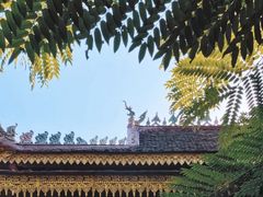 -西双版纳总佛寺