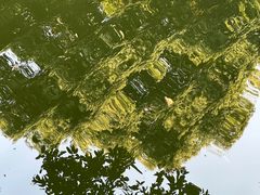 -成都市活水公园