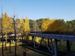 -中国浦东干部学院