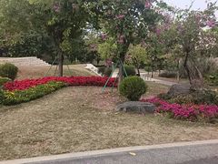 -东莞植物园