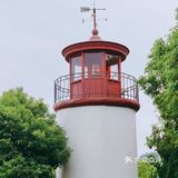 就是玩