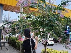 -瑞光创意工厂