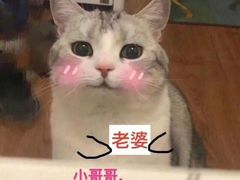 -萧邦音乐会所KTV(向西店)