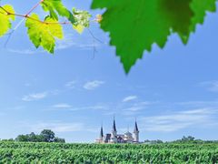 -北京张裕爱斐堡酒庄