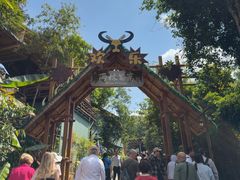 -海南槟榔谷黎苗文化旅游区
