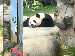 -香港海洋公园