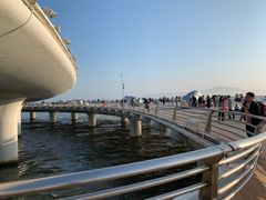 -演武大桥观景平台