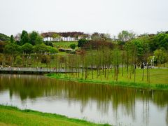 -东莞植物园
