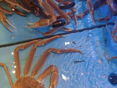 -阿伟海鲜楼·福建菜(延寿店)