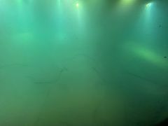 -白鹤梁水下博物馆