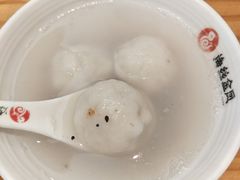 -海丝金凤(金鱼店)
