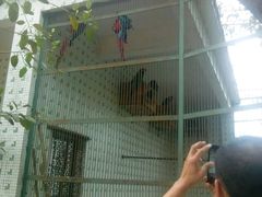 -广东茂名森林公园