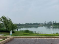 -海宁鹃湖公园