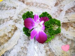 虾生-官塘陈记鱼生·潮汕砂锅粥·牛肉火锅(潮枫路总店)