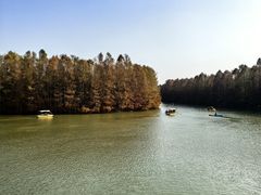 -上海海湾国家森林公园