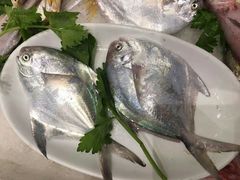-开鑫鱼厂·宁波海鲜(前程智慧城店)