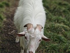 -广富林郊野公园