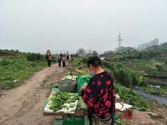 -重庆平顶山公园