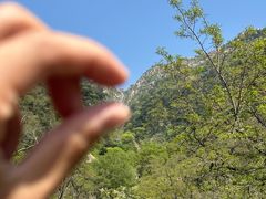 -泰山风景名胜区