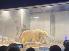 -大连圣亚海洋世界