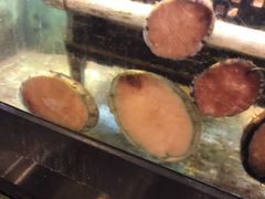 -金唐海鲜酒家