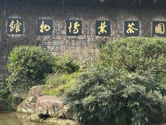 -中国茶叶博物馆(双峰馆区)