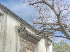 -广富林郊野公园