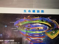 -安徽省地质博物馆