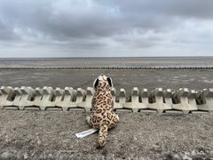 -南汇嘴观海公园