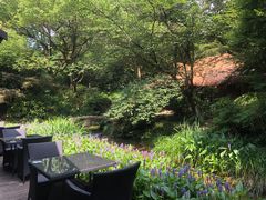 -中国茶叶博物馆(双峰馆区)