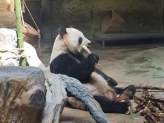 -常州淹城野生动物世界