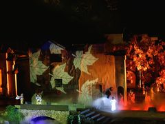 -婺源梦里老家大型山水实景演出