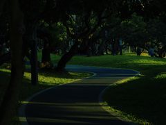 -四海公园(南山区)