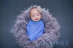 -愿望树儿童摄影(699文创店)