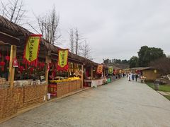 -秀丽东方