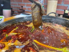 -五里关火锅(牛市口店)