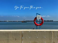 -南沙十九涌渔人码头-南门