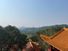 -深圳仙湖植物园