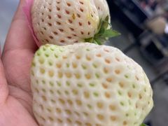 -山姆会员商店(杨桥西路店)