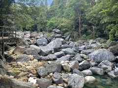 -石台牯牛降景区