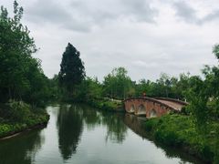 -白鹭湾湿地公园