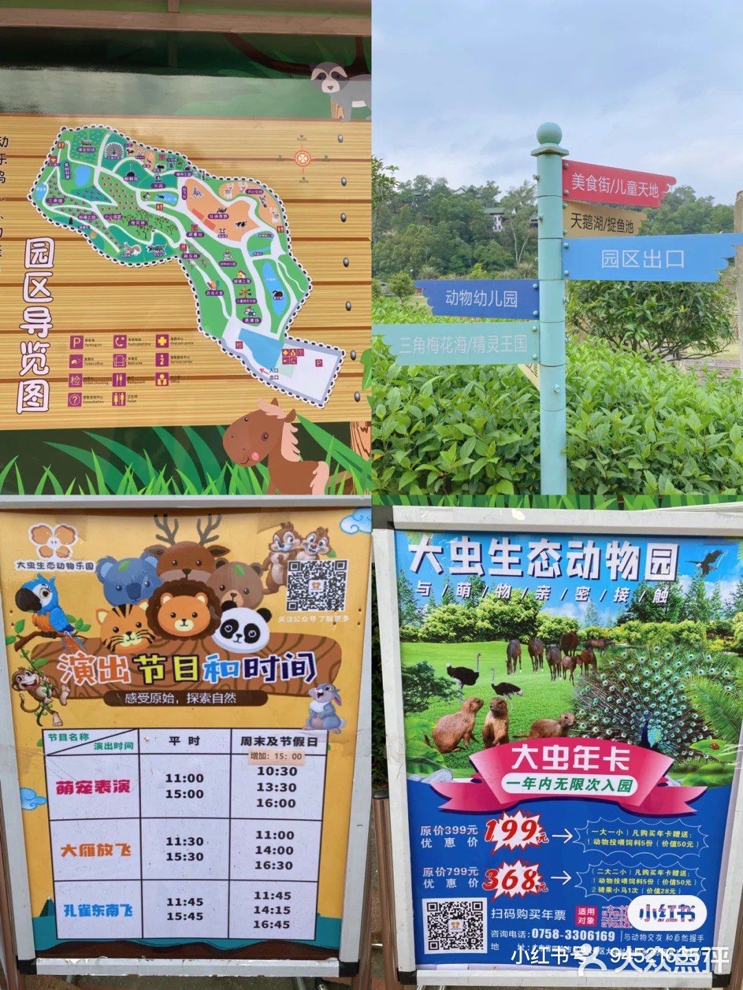 🐒肇庆周边游|四会大虫生态动物乐园|亲子游