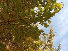 -四川大学(华西校区)